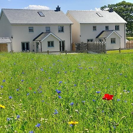 Brecon Beacons Cottage With Stunning Country Views Myddfai Exterior foto