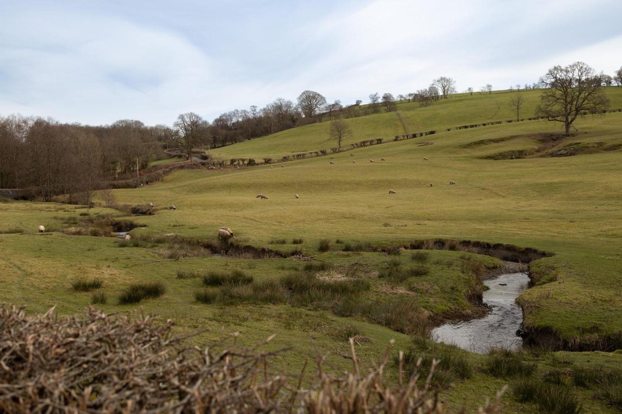 Brecon Beacons Cottage With Stunning Country Views Myddfai Exterior foto