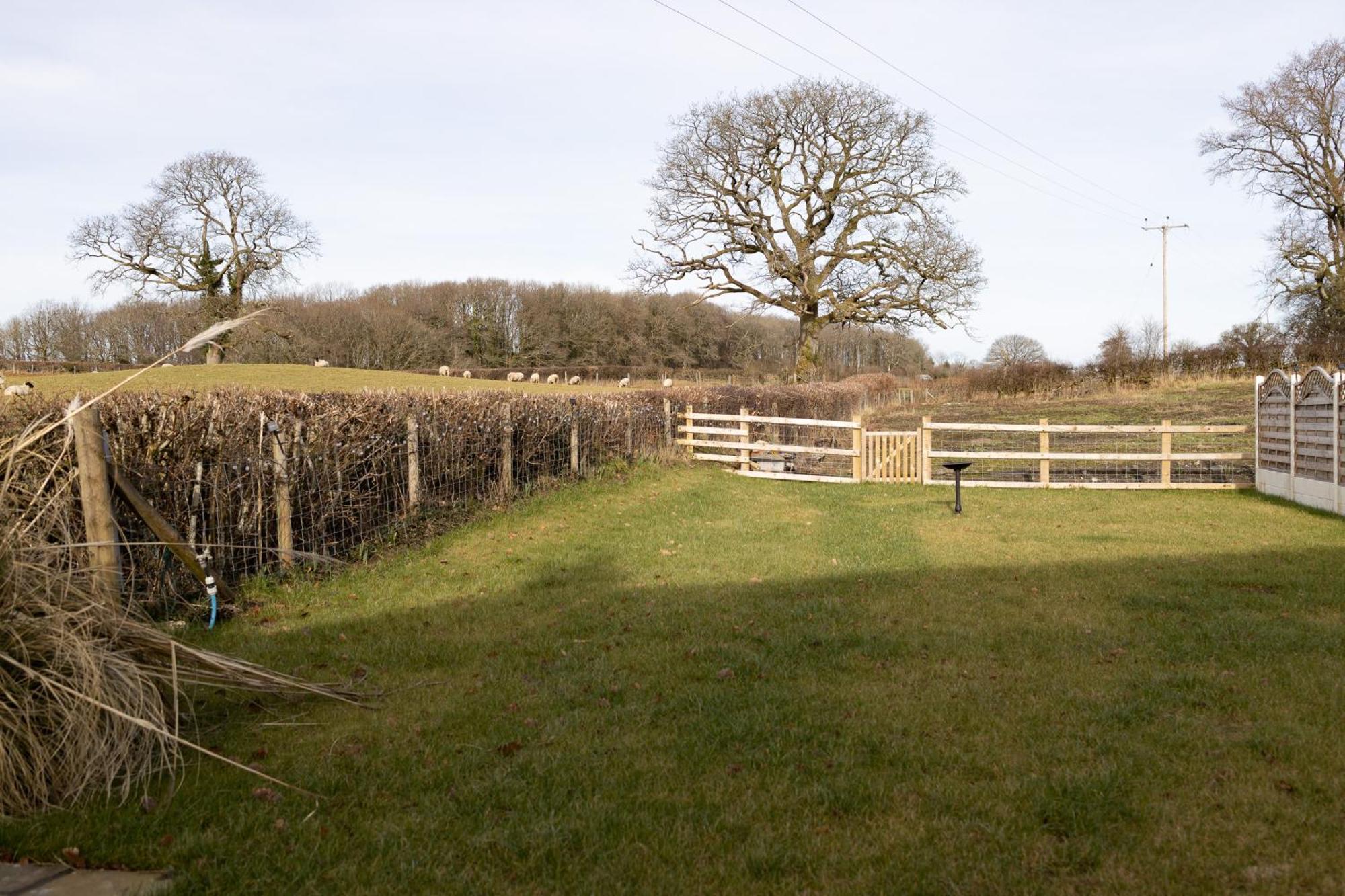 Brecon Beacons Cottage With Stunning Country Views Myddfai Exterior foto