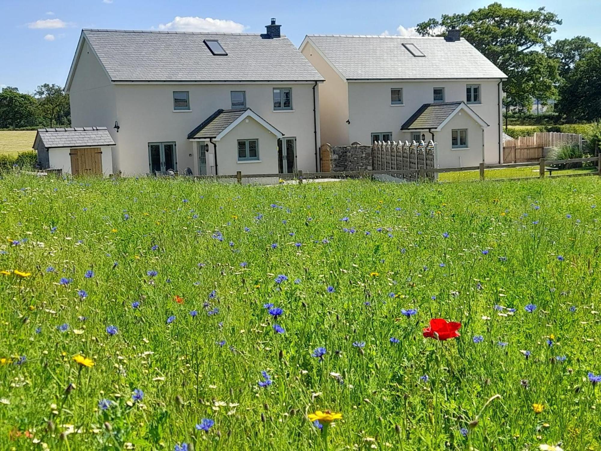 Brecon Beacons Cottage With Stunning Country Views Myddfai Exterior foto